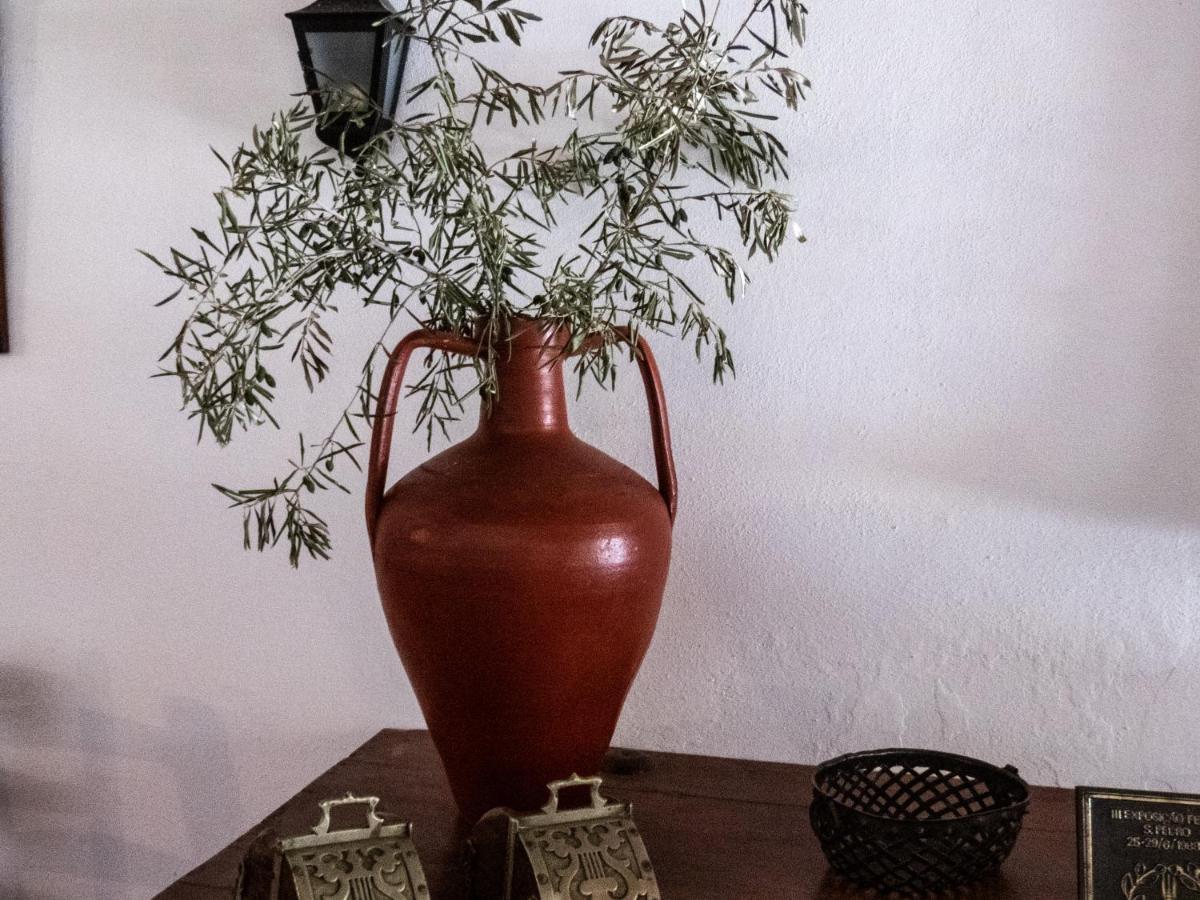 Monte Das Oliveiras Arraiolos Zewnętrze zdjęcie